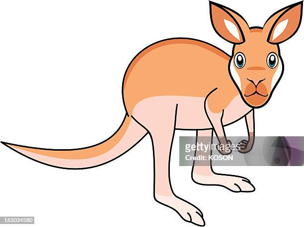 309 Kangaroo Cartoon Photos and Premium High Res Pictures - Getty Images