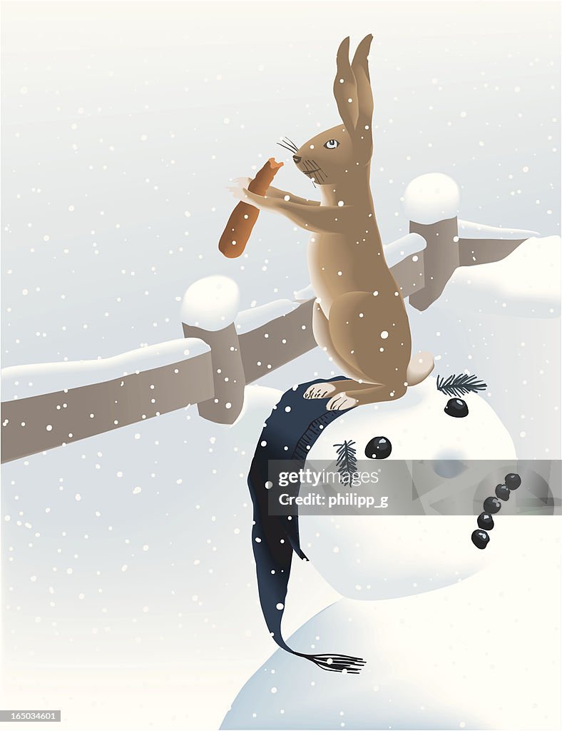 Snowman and the hare