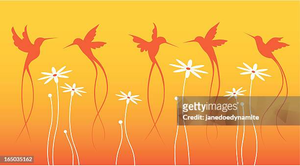 ilustraciones, imágenes clip art, dibujos animados e iconos de stock de hummingbirds de verano - canturrear