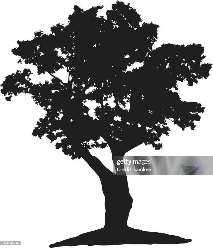 Baum silhouette (Vektor