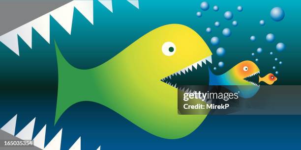 233 Big Fish Eat Little Fish Photos and Premium High Res Pictures - Getty Images 233 Big Fish Eat Little Fish Photos and Premium High Res Pictures - Getty Images