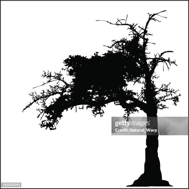 old tree - dead tree stock illustrations