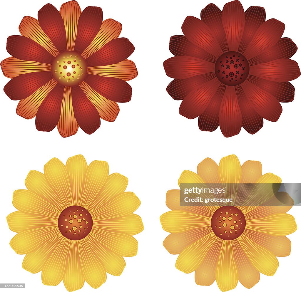 Vector Flowers 01