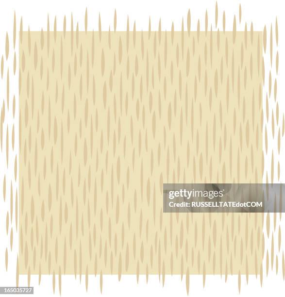 wood grain pattern in ash - wall cross section stock illustrations