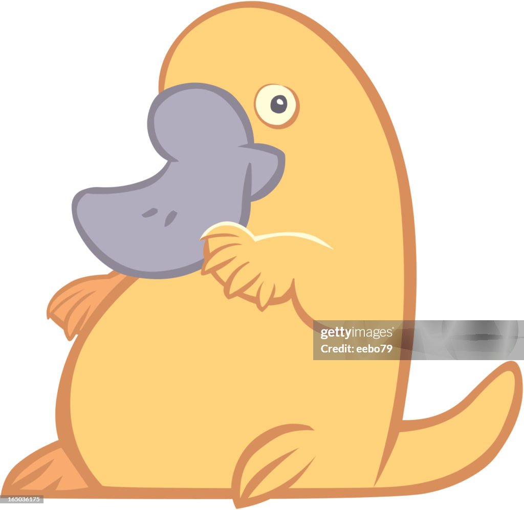 Platypus cartoon