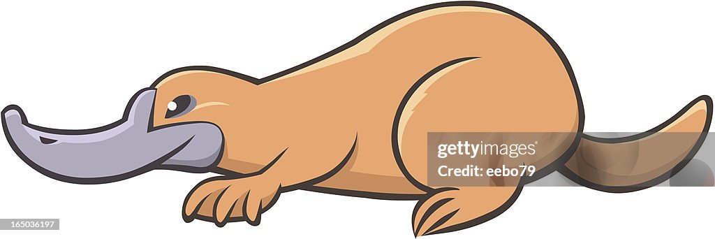 Platypus side