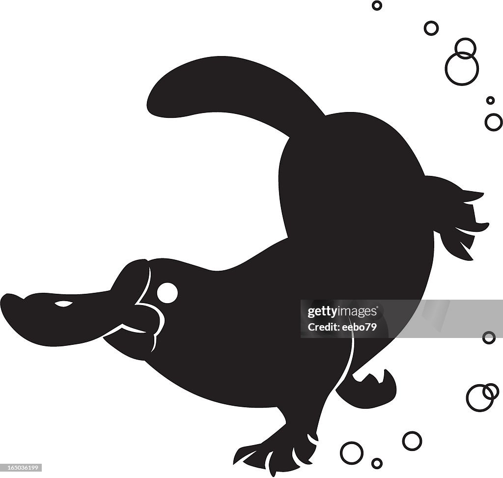 Platypus silhouette swimming