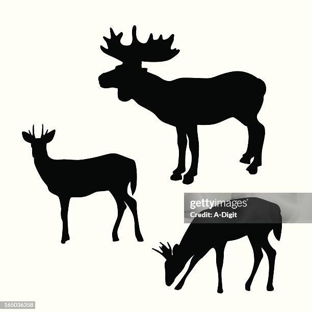 deer moose vector silhouette - moose-silhouette stock illustrations
