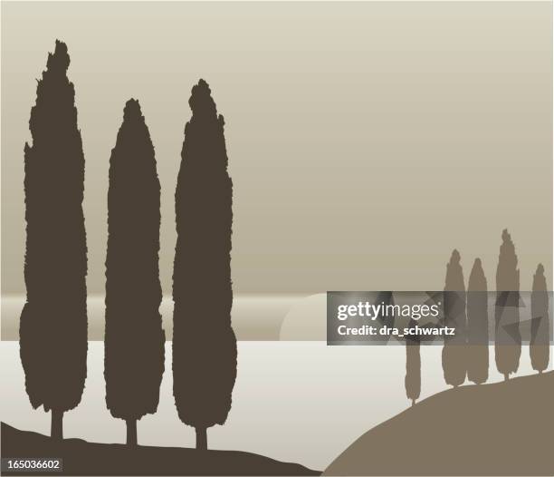 сypress bäume silhouetten, vector - zypresse stock-grafiken, -clipart, -cartoons und -symbole