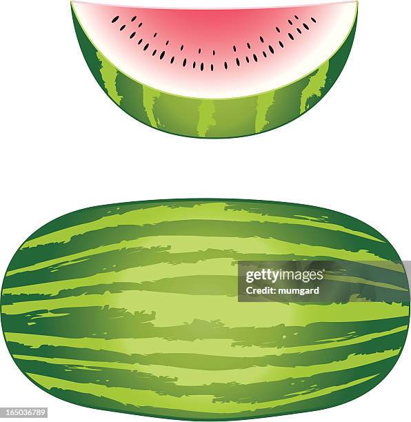 vector melon and slice - melon slice stock illustrations