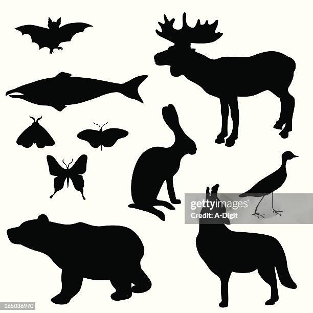 bear bat jack rabbit vector silhouette - animal antenna stock illustrations