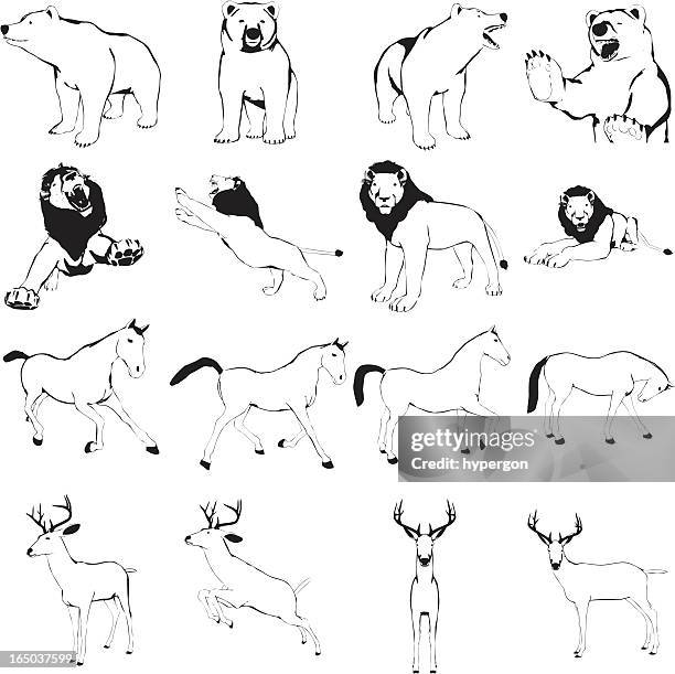 animal cartoon-sammlung (vektor - animal mane stock-grafiken, -clipart, -cartoons und -symbole