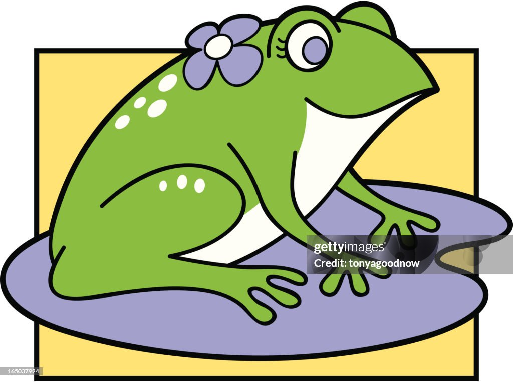 Girly Froggy