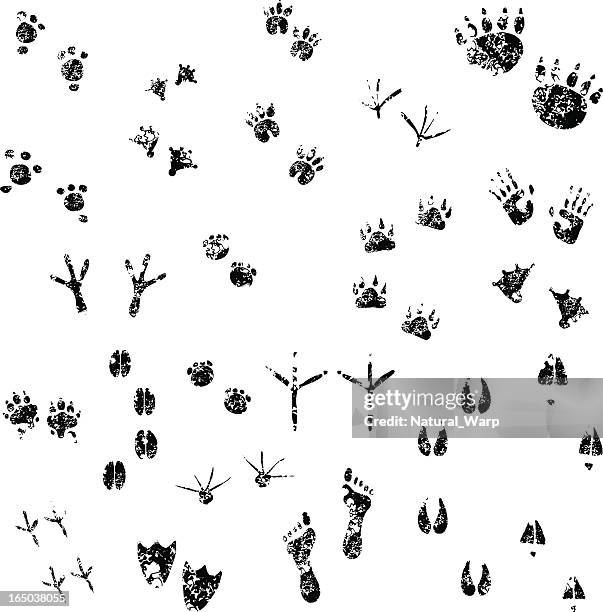 grunge-footprints set 01 - spur stock-grafiken, -clipart, -cartoons und -symbole