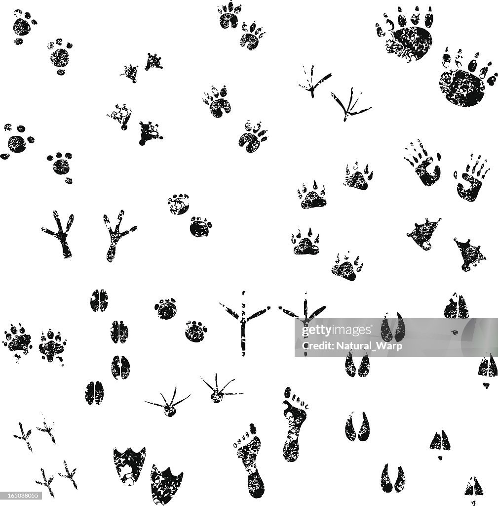Grunge Footprints set 01
