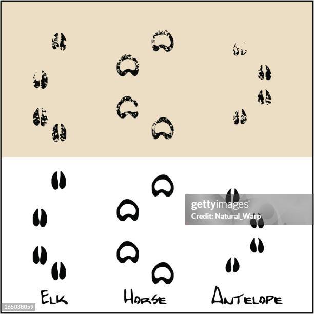 758点の蹄イラスト素材 Getty Images 758点の蹄イラスト素材 Getty Images