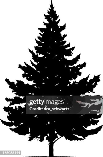 Christmas tree, vector Christmas tree, vector