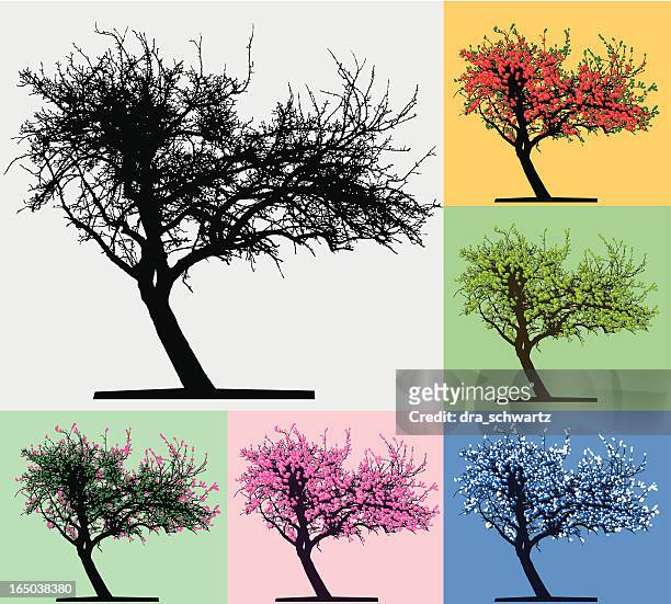 tree silhouette, four seasons - cherry tree stock illustrations