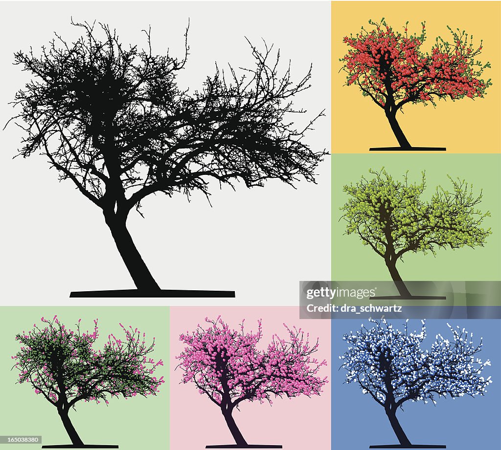 Tree silhouette, Four seasons