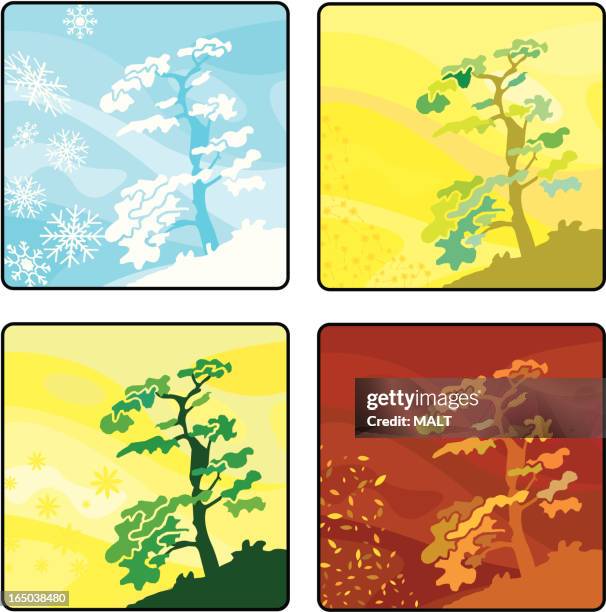 four seasons - vector - spring winter sun stock illustrations