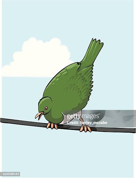 wood pigeon on a wire - mccabe stock illustrations