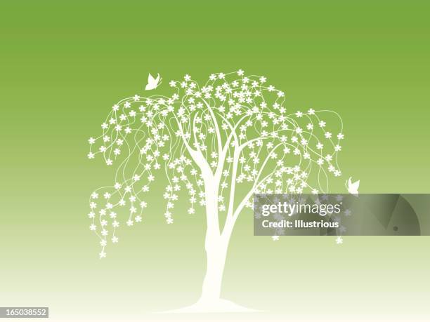 blossoming tree background - cherry blossom tree silhouette stock illustrations