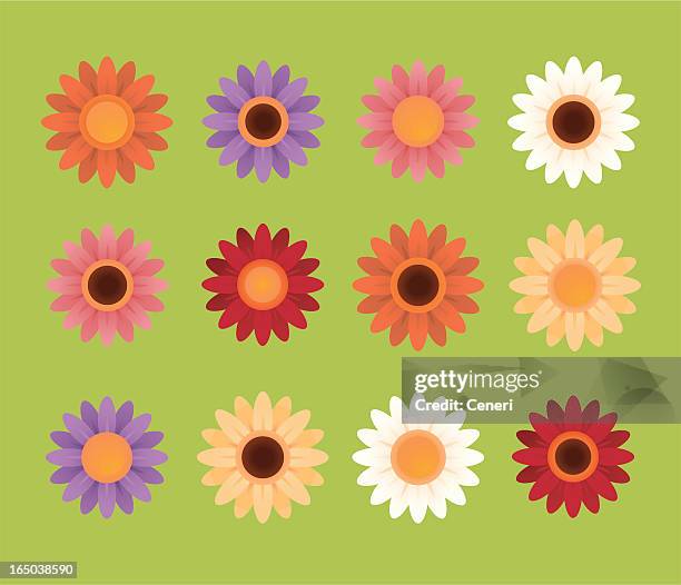 stockillustraties, clipart, cartoons en iconen met set of drawings of colorful daisies - gerbera