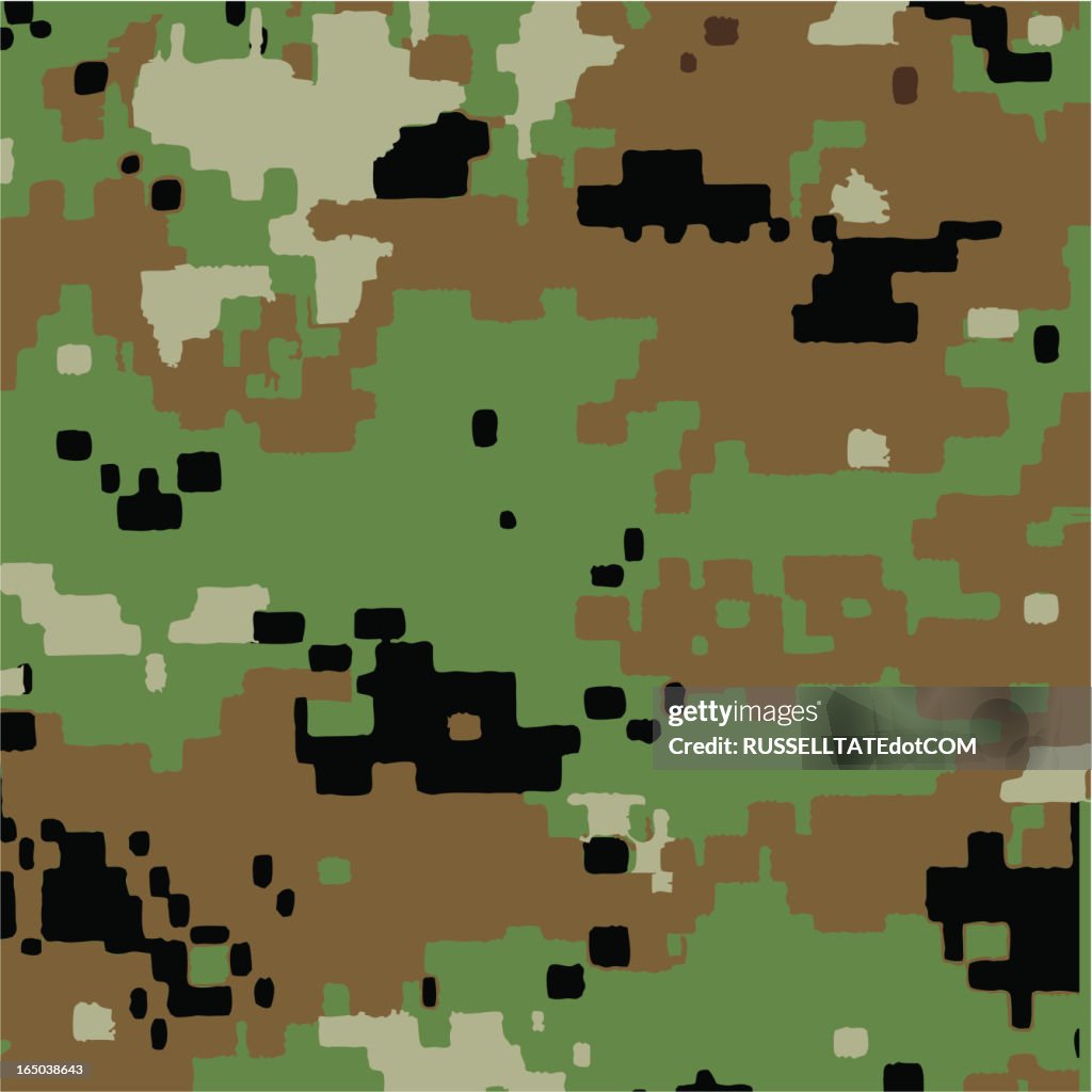 Digi Green Camouflage Pattern High-Res Vector Graphic - Getty Images