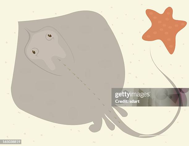 stingray - stingray stock illustrations