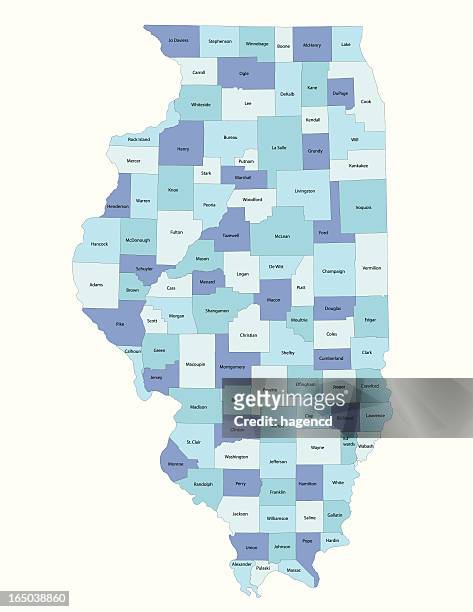 illinois state - county map - districts stock illustrations