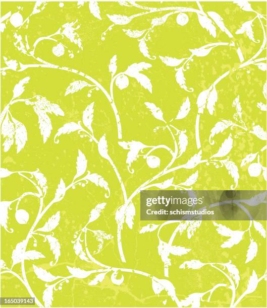 grunge lime branch vector - lime background stock illustrations
