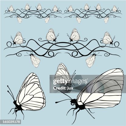 Butterfly - vector Butterfly - vector