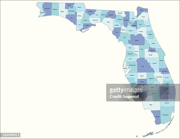 florida state - county map - gulf coast states stock illustrations