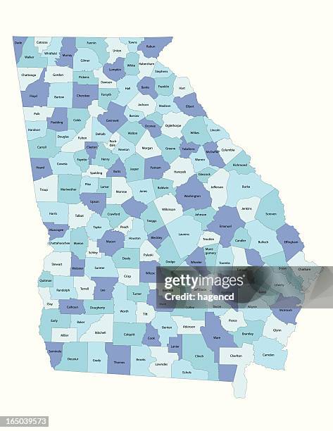 georgia state - county map - map stock illustrations stock illustrations