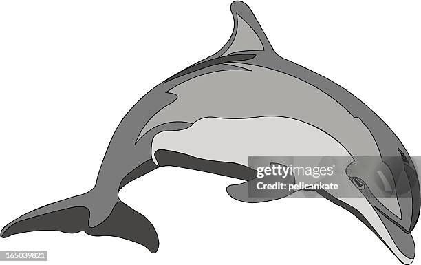 bottlenose dolphin - dolphin jumping stock illustrations