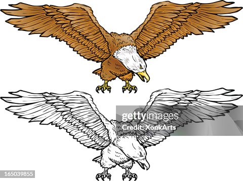 Bald Eagle Spread Bald Eagle Spread