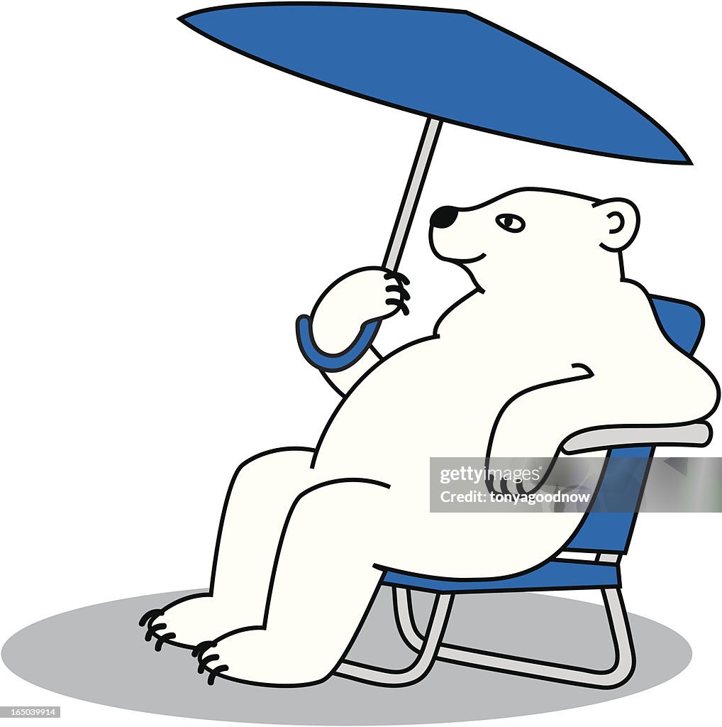 Polar Bear in the Shade