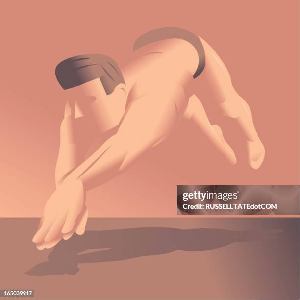 three color dive - olympic mountains washington state stock illustrations