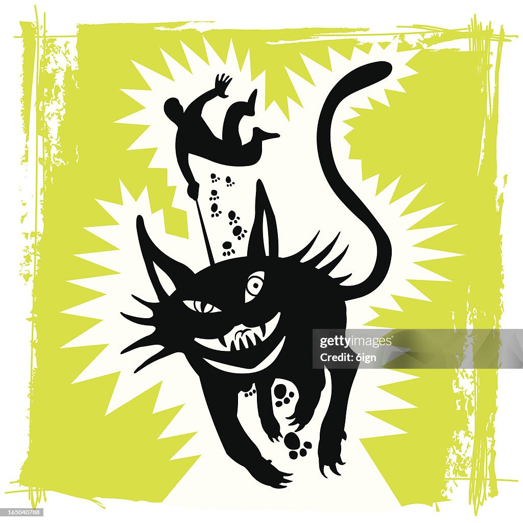 Wild gato negro