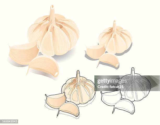 garlic illus - garlic clove stock illustrations