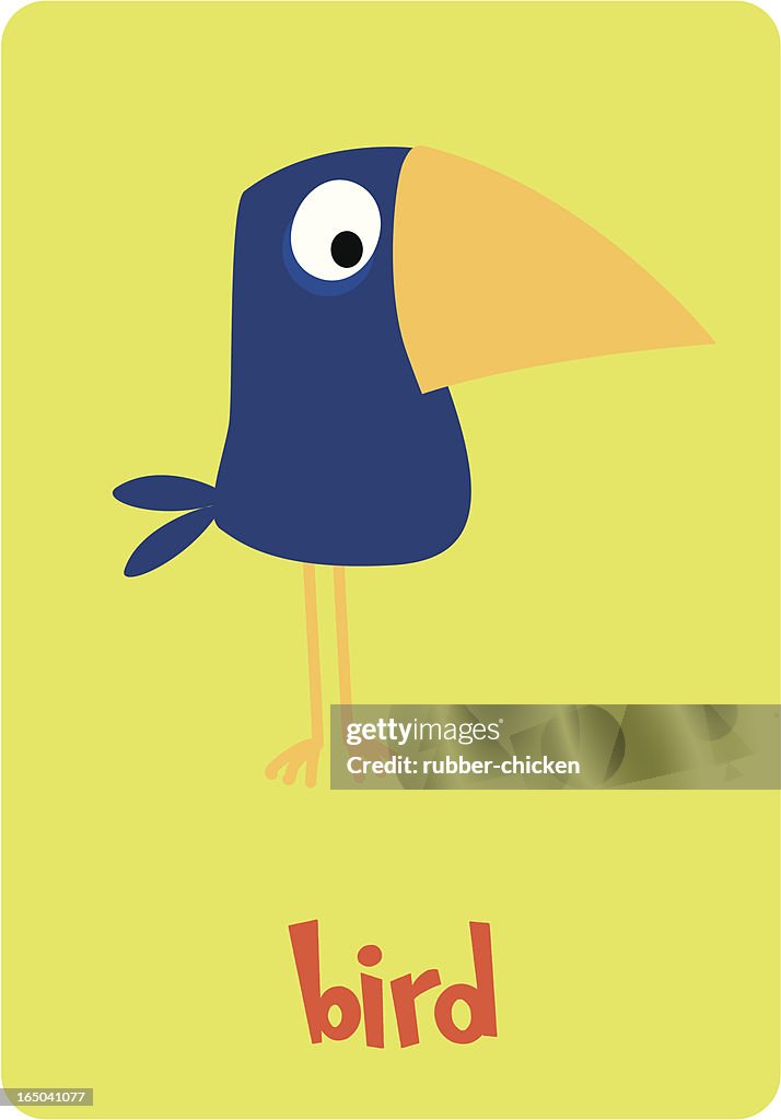 Bird