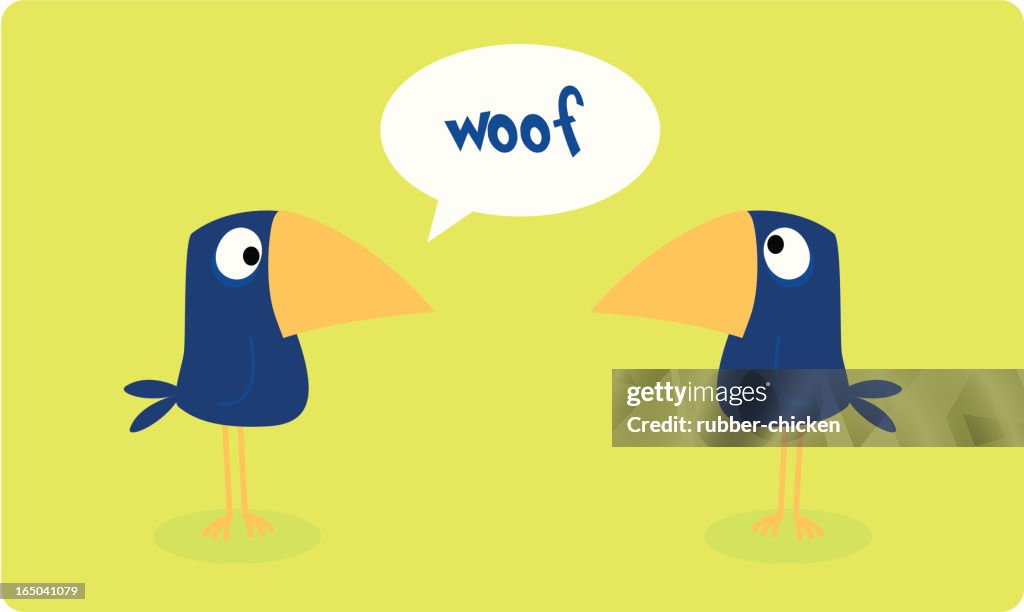 Confused bird