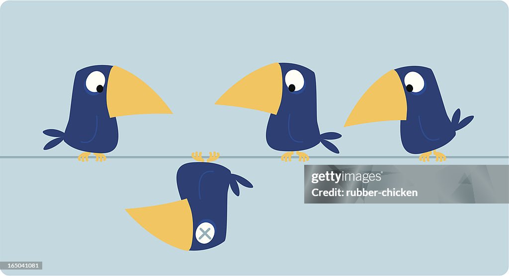 Dead bird