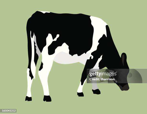 bildbanksillustrationer, clip art samt tecknat material och ikoner med vector cow on pastel green background - ko