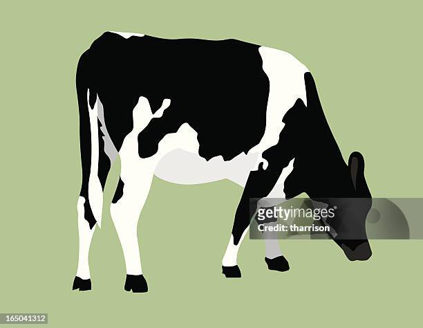 vector cow on pastel green background - cow stock illustrations