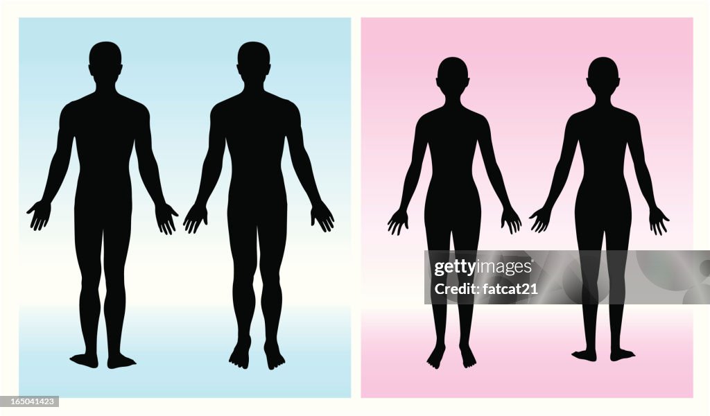 Human Stock Vector Human Body Vector Silhouette