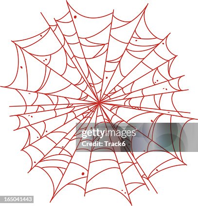 Spiderweb Spiderweb
