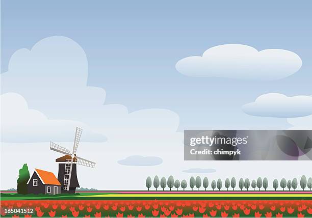 stockillustraties, clipart, cartoons en iconen met homescapes - holland - hollands landschap