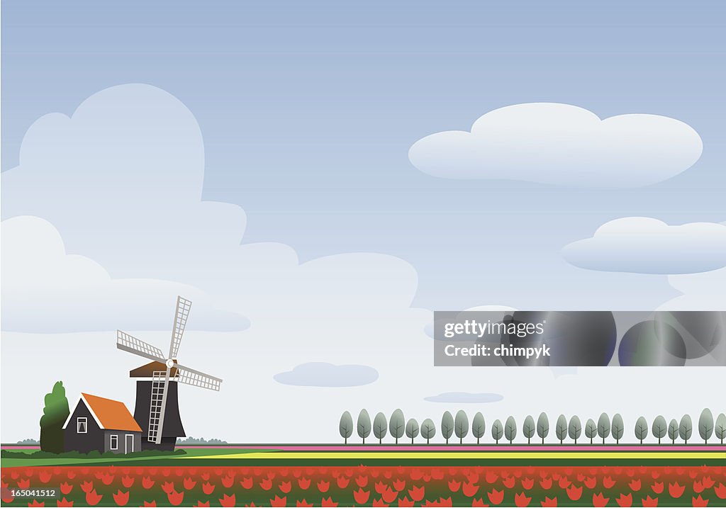 Homescapes - Holland