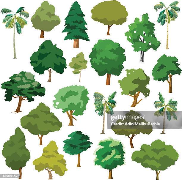 cartoon trees package - jungle tree cartoon stock illustrations